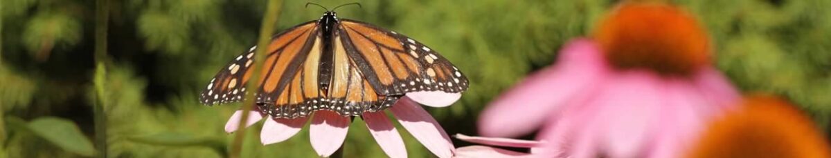 Garden Club of Dearborn