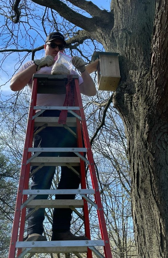 Nature News: Owl boxes installed at five community parks in Dearborn